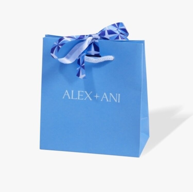 ALEX AND ANI classic gift bag