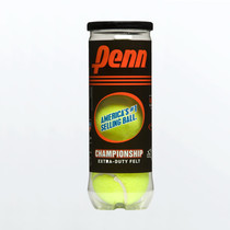 Penn Championship Tennis Balls - 3-ball can