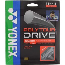 Polytour Drive 16G  - Silver