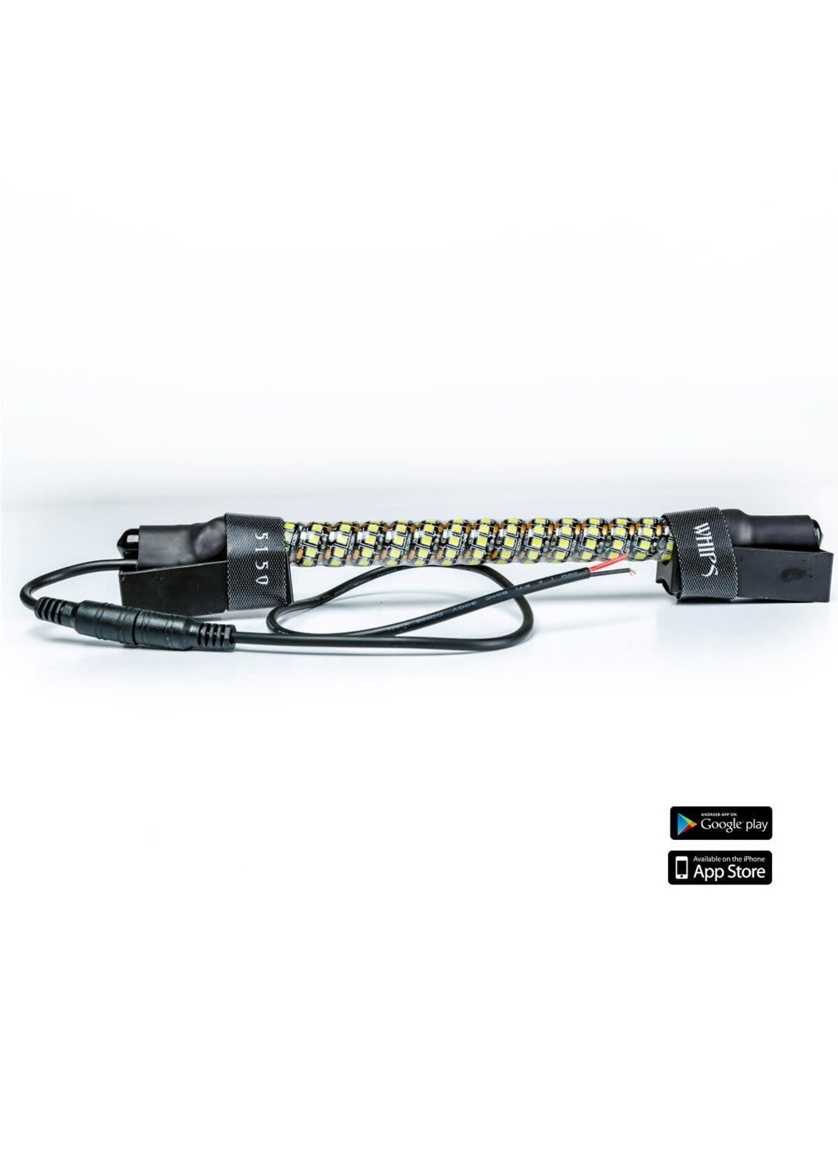 5150 Whips 5150 Whips Dome Light