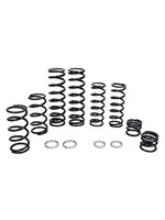ZBROZ Racing ZBROZ Spring Kit for RZR Pro XP w/ Fox Dynamix