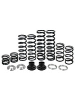 ZBROZ Racing ZBROZ Spring Kit for Polaris RZR XP with Walker Evans