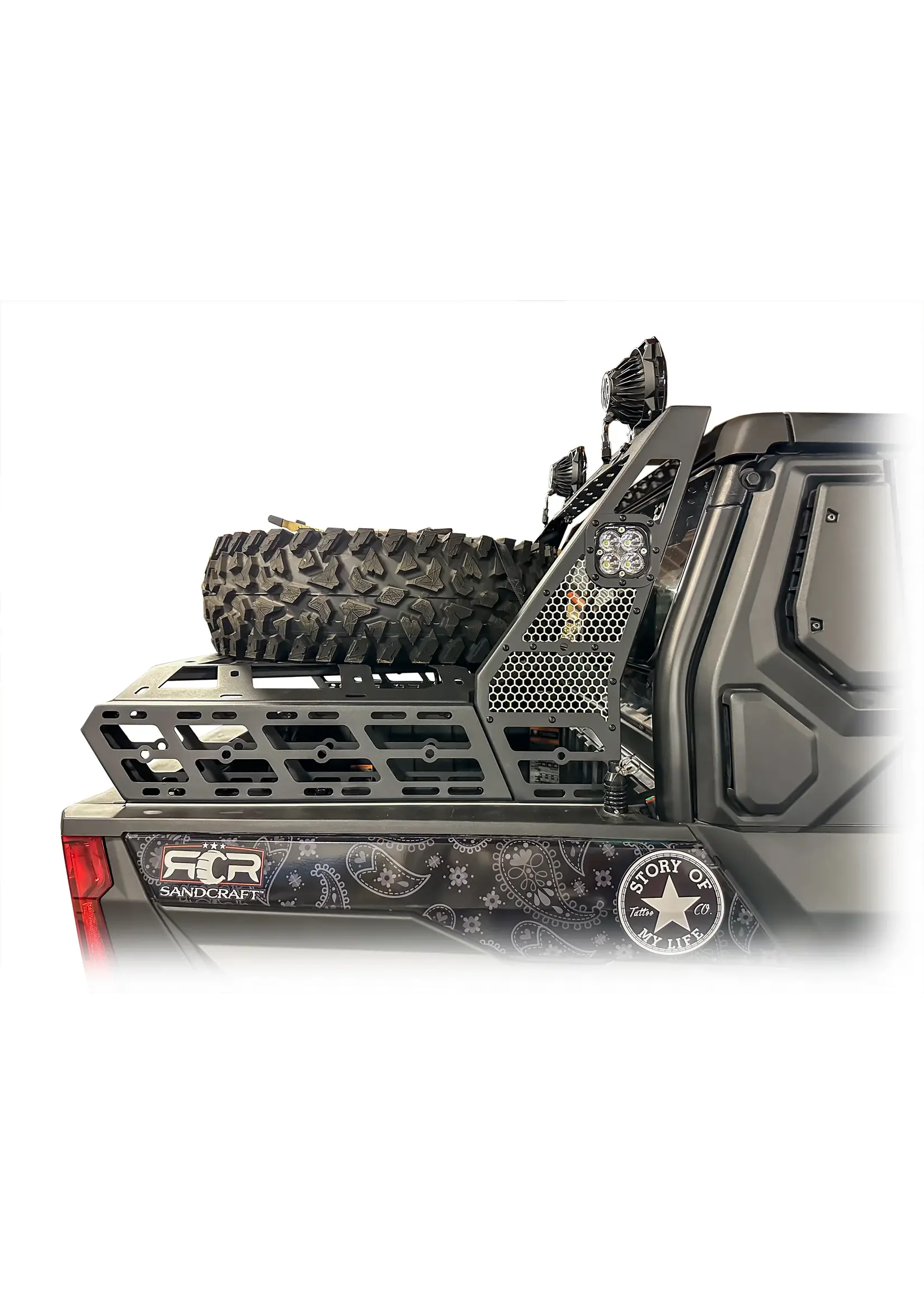 DRT Motorsports DRT Motorsports  2024+ Xpedition Chase Rack / Tire Carrier System