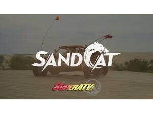 Sandcat