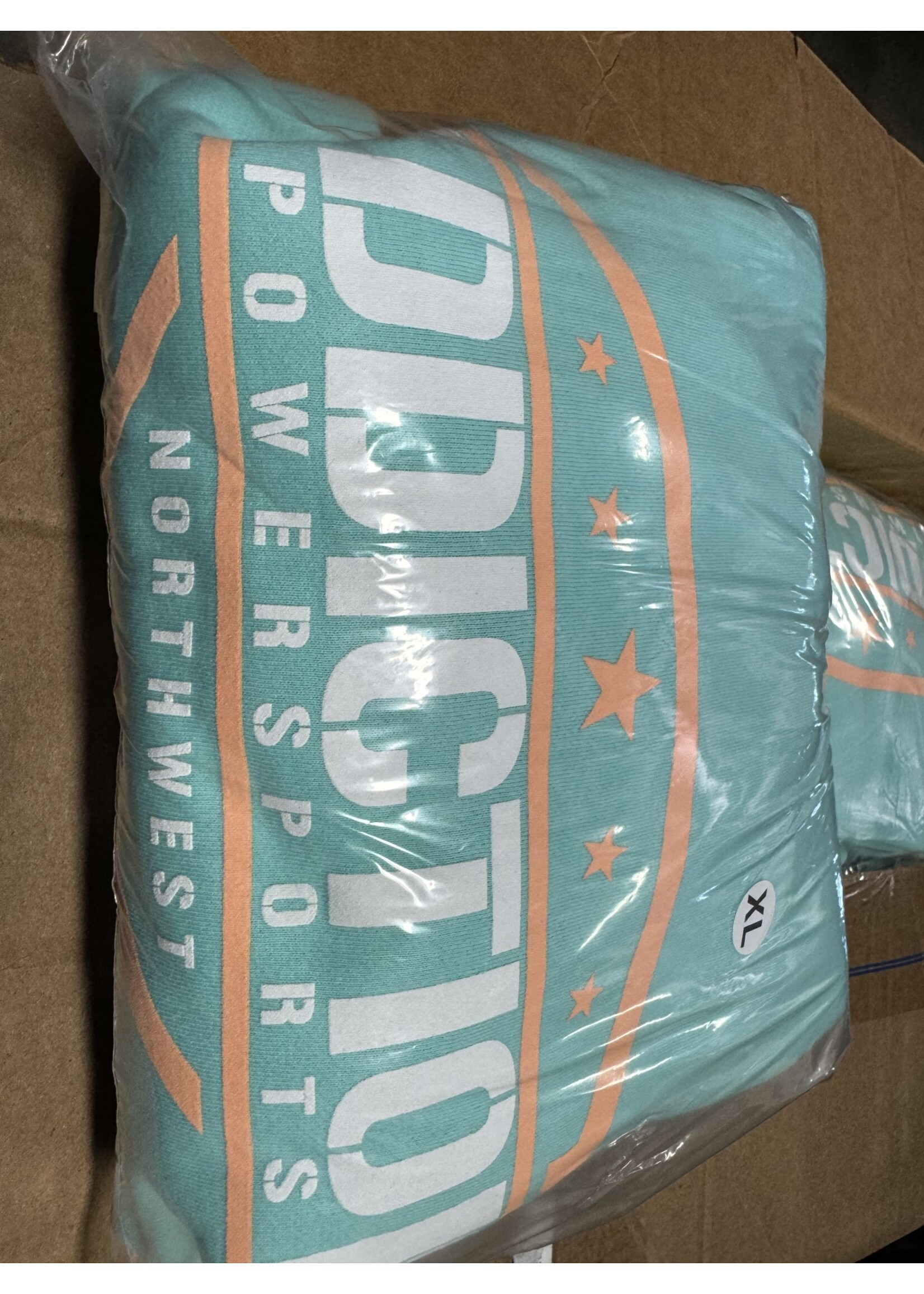 Addiction Powersports NW Pull Over Hoodie Mint with Peach Fuzz Logo