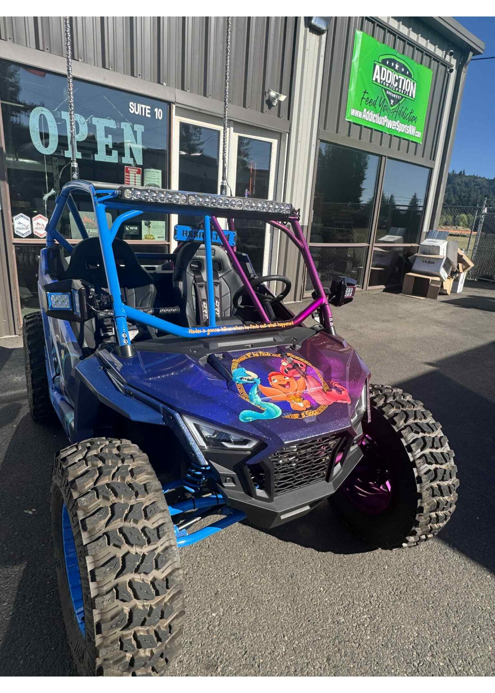 Cars For Sale- Polaris RZR 200