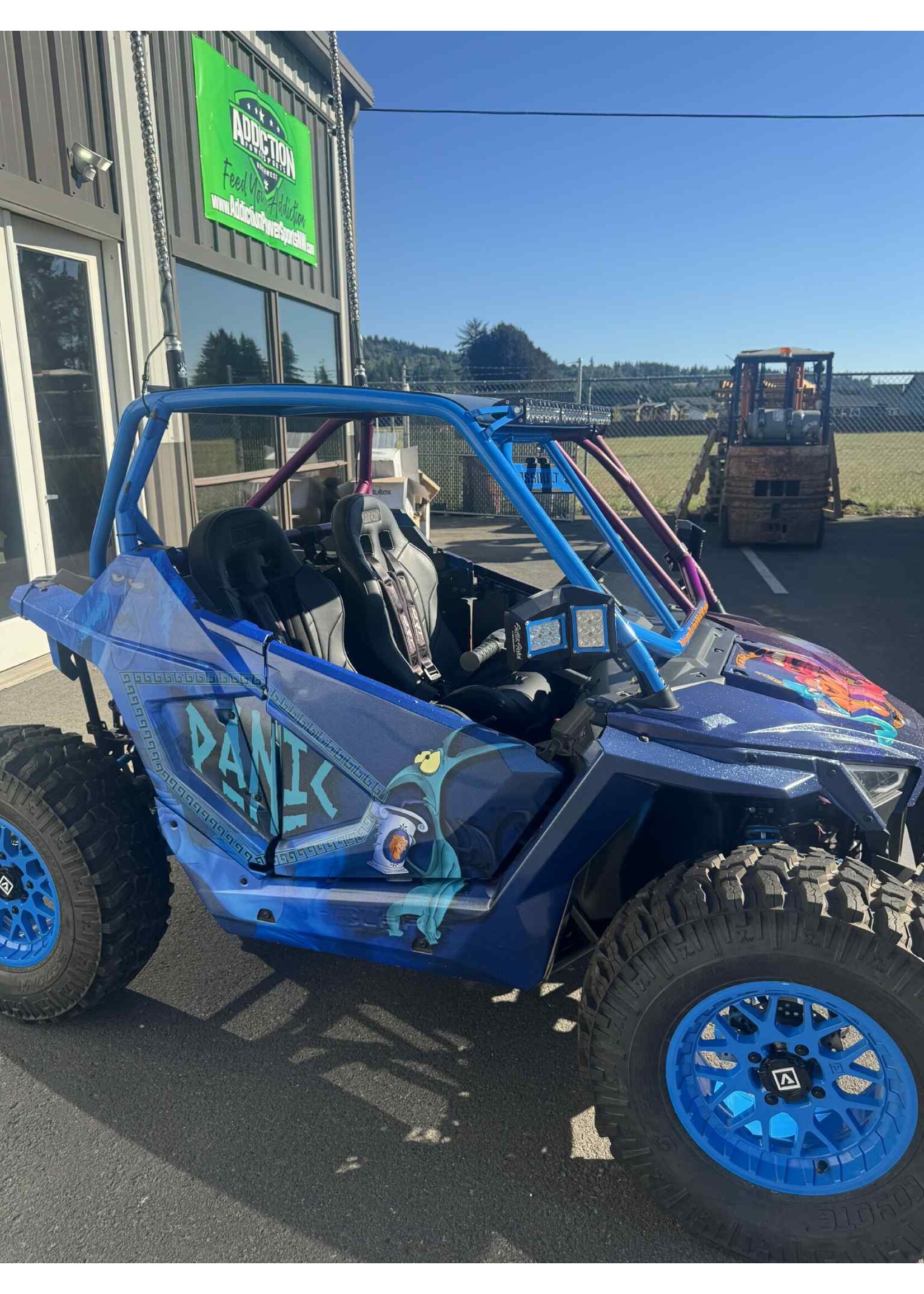 Cars For Sale- Polaris RZR 200