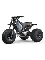 RZR Mini RCR T3 Electric 3 Wheeler Bike Black with Black Carbon Fenders (Pre Wired for Lighted Whip)