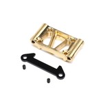 Team Losi Racing (TLR) Front Pivot, Brass, +30g: 22 5.0