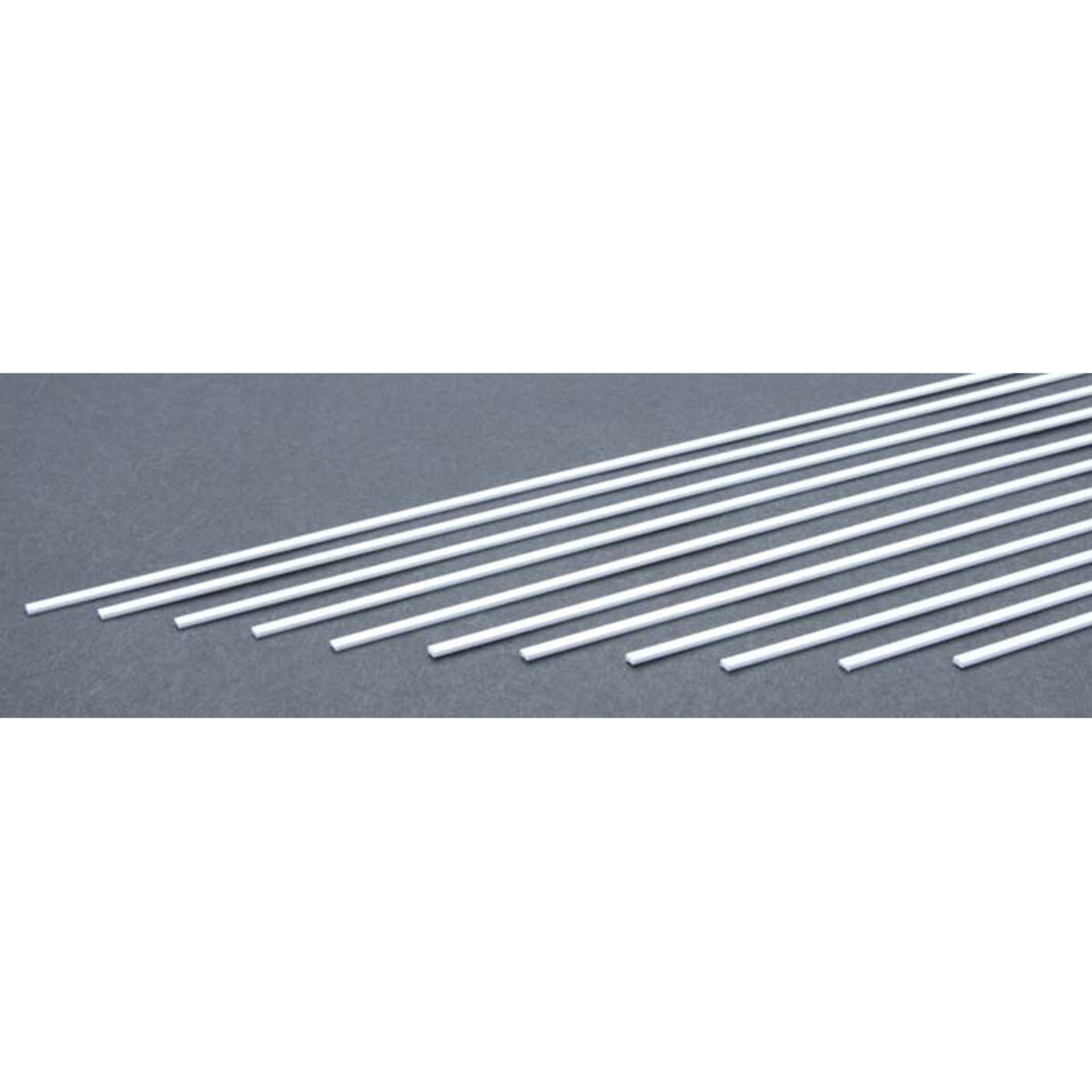 Evergreen Strip .020 x .100 (10)