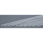 Evergreen Strip .040 x .100 (10)