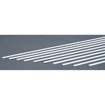 Evergreen Strip .040 x .250 (10)