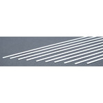 Evergreen Strip .060 x .100 (10)