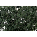 Woodland Scenics Fine Leaf Foliage, Dark Green/75 cu. in.