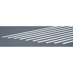 Evergreen Strip .020 x .250 (10)