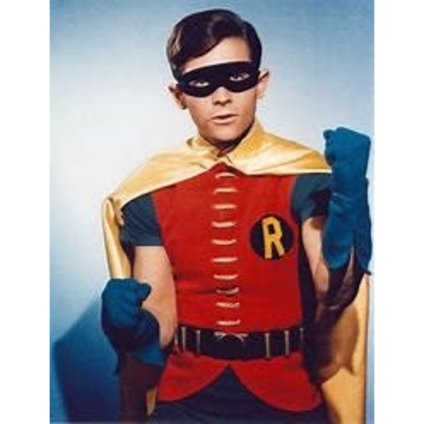 Moebius Robin-The Boy Wonder