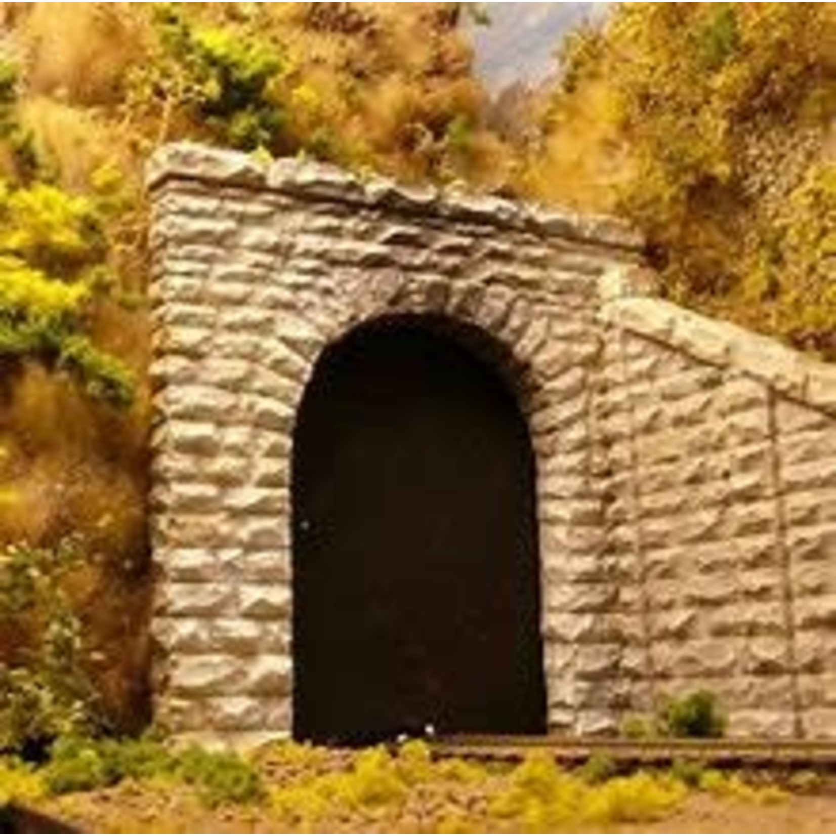 O Single Cut Stone Tunnel Portal