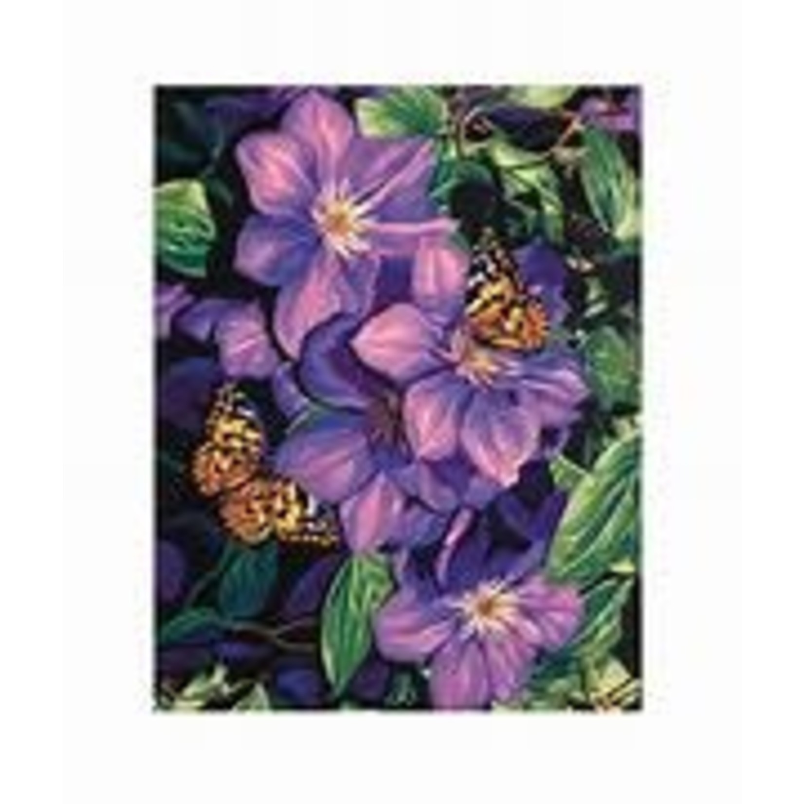 Dimensions Clematis & Butterflies Paint by Number (11"x14")