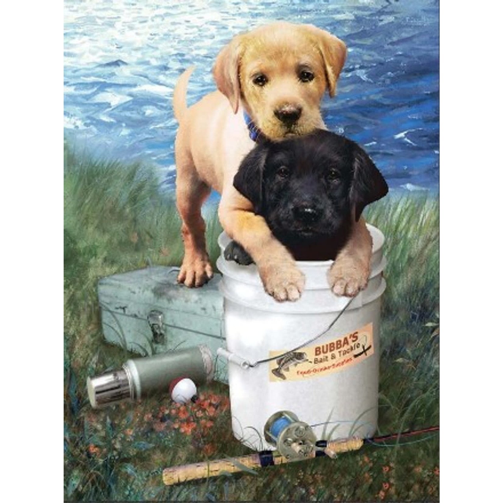 Fishin Buddies (Puppies) Paint by Number Age 8+
