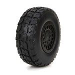 ECX Front/Rear Premount Tire: 1/18 4WD Torment (2)