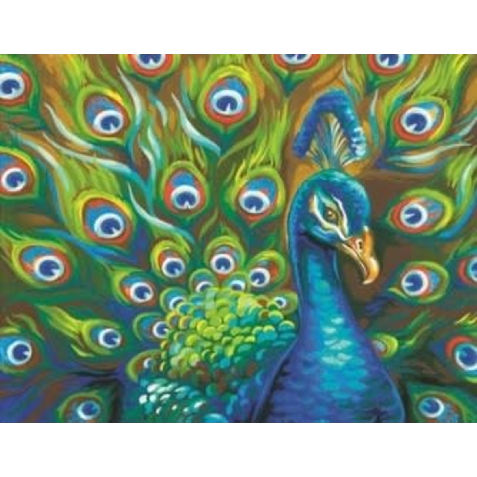 Dimensions Wild Feathers (Peacock) Paint by Number (14"x11")