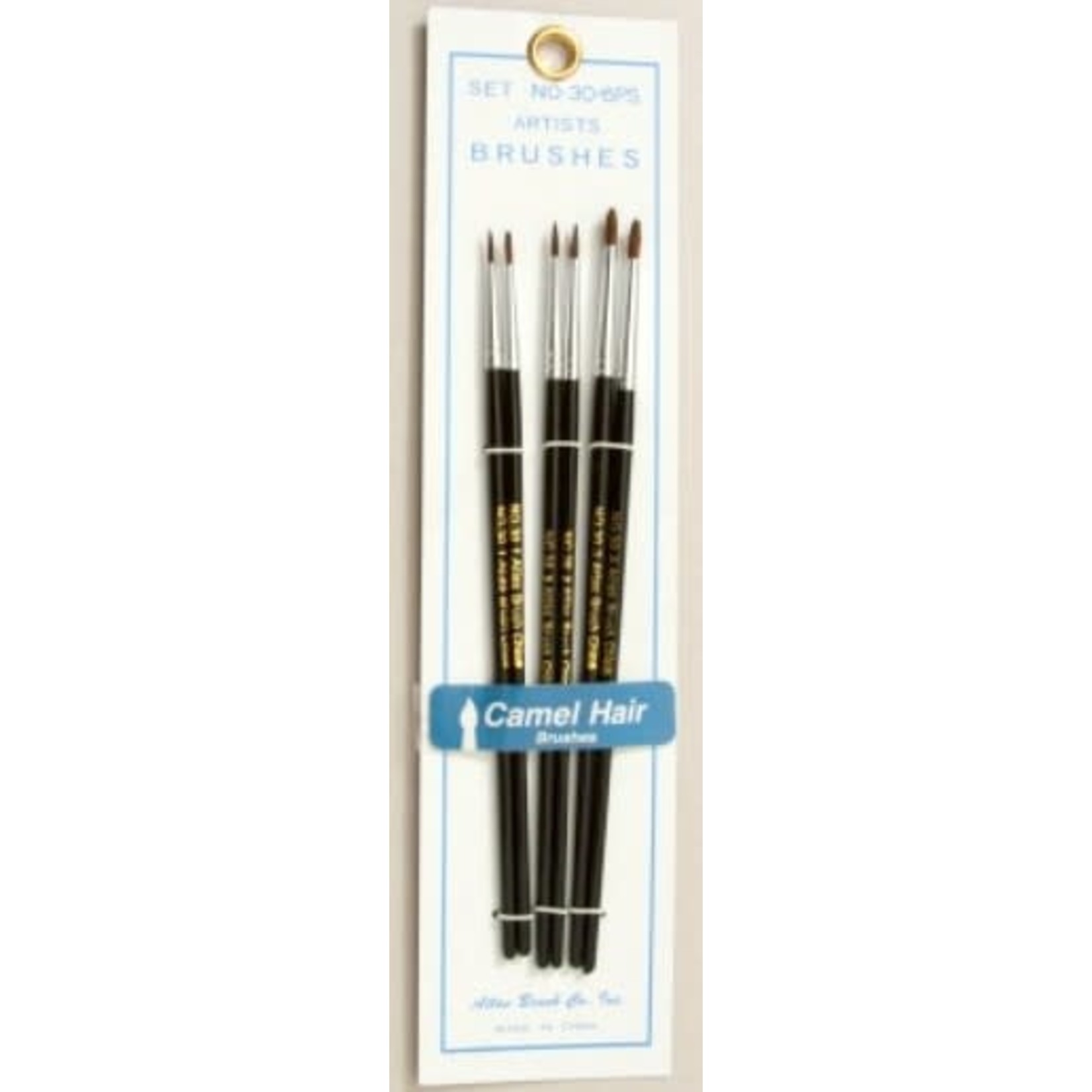 Camel Hair 30-6PS Artist Brush