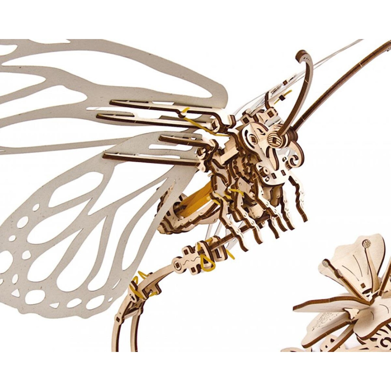 Ugears Butterfly & Flower Mechanical Wooden 3D Model
