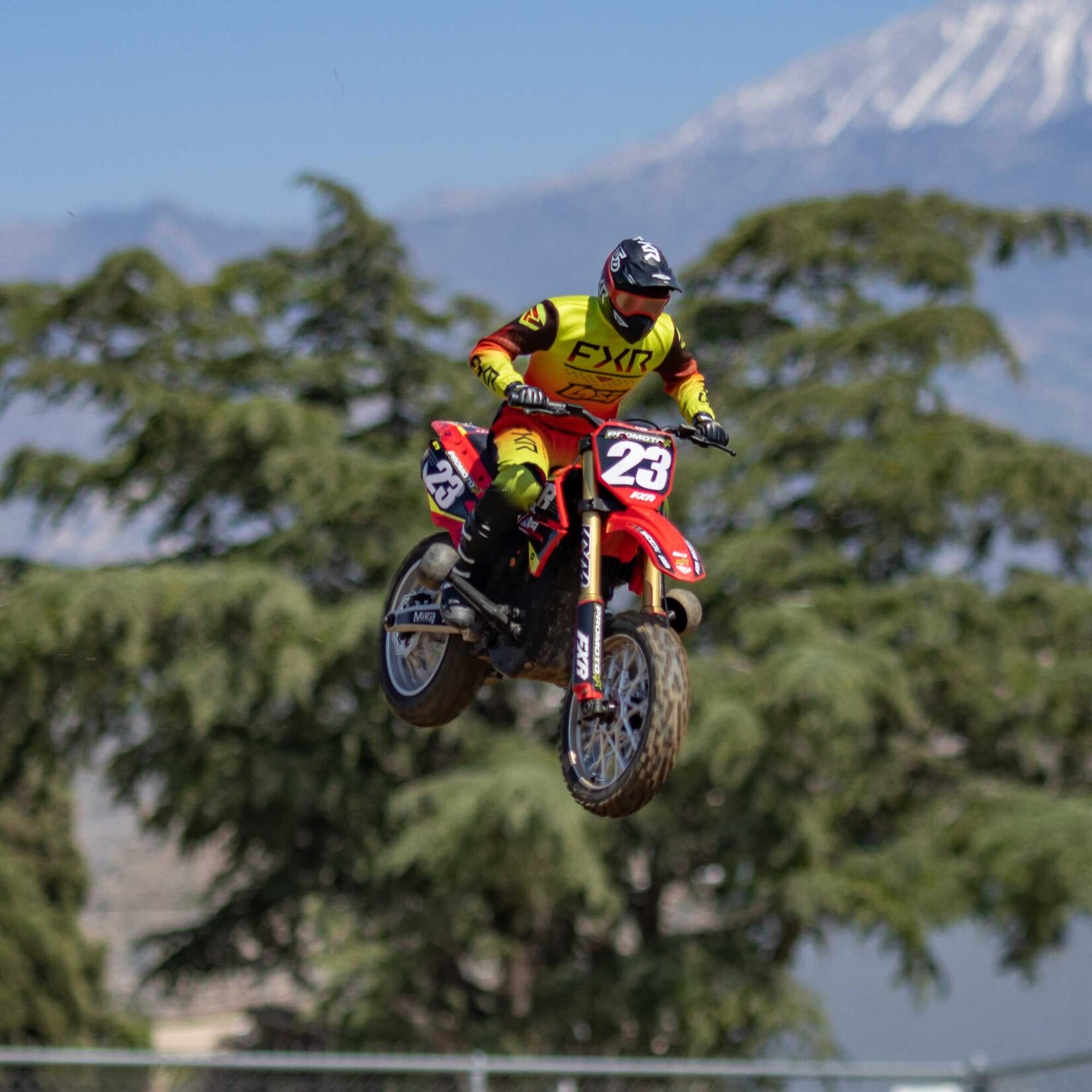 Losi 1/4 Promoto-MX Motorcycle RTR, FXR (Red)