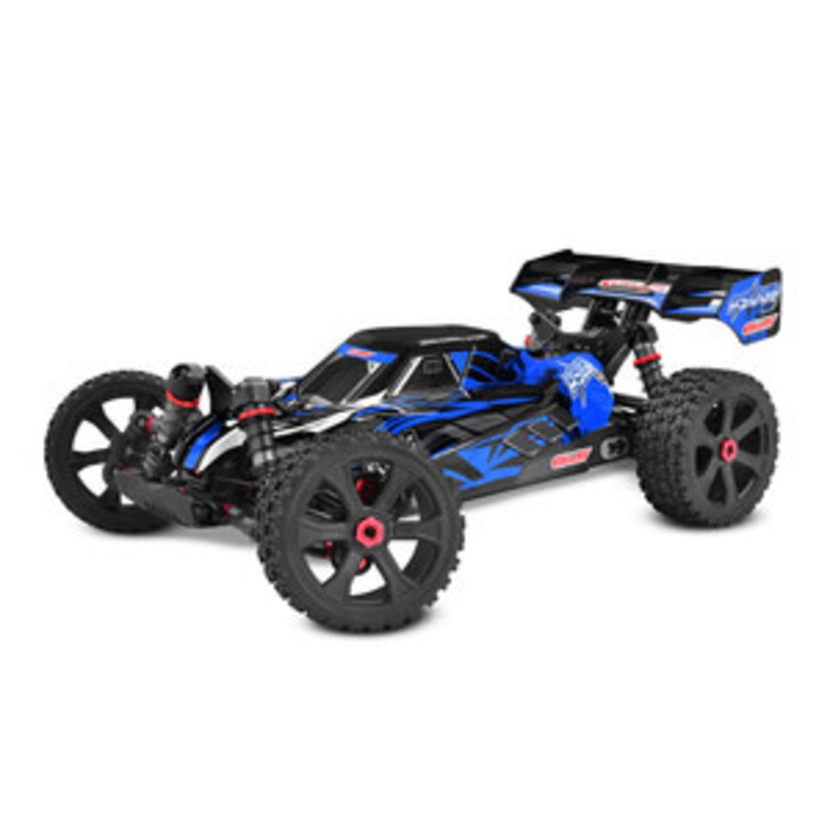 Corally Asuga XLR 6S RTR Racing Buggy - Blue, Large Scale