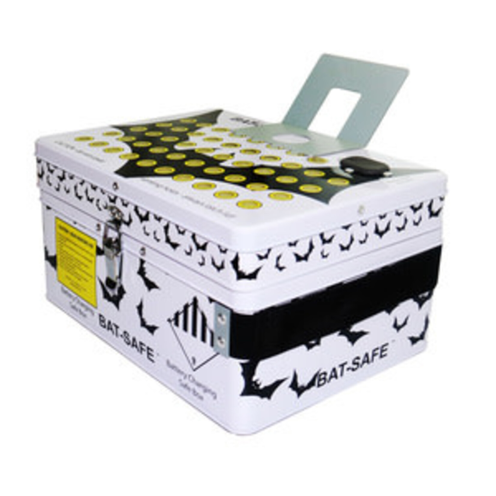 LiPo Battery Charging Case