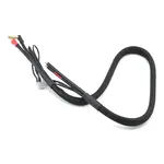 2S Charge Cable w/No Connector (2')