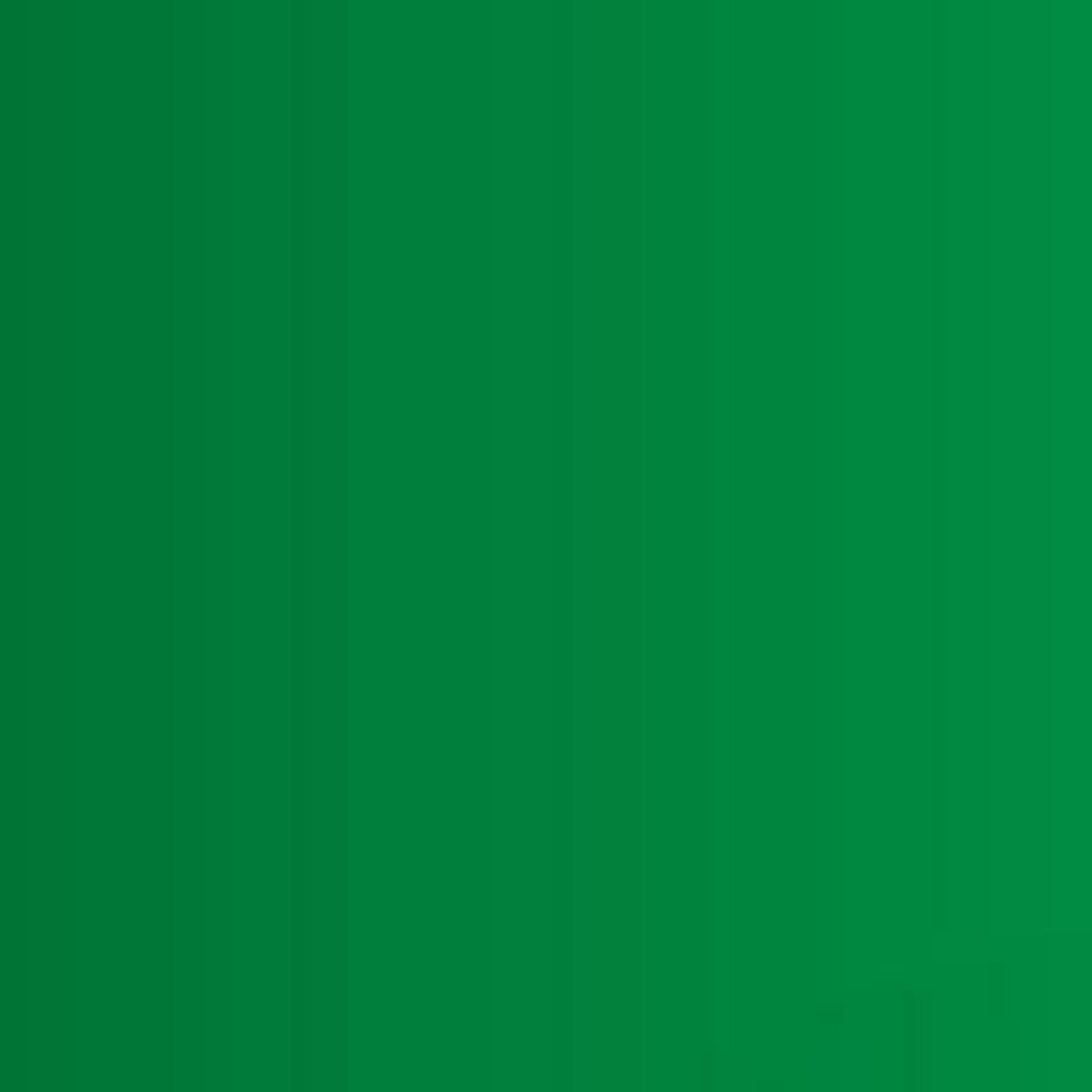 Mission Models Mission Models Transparent Green