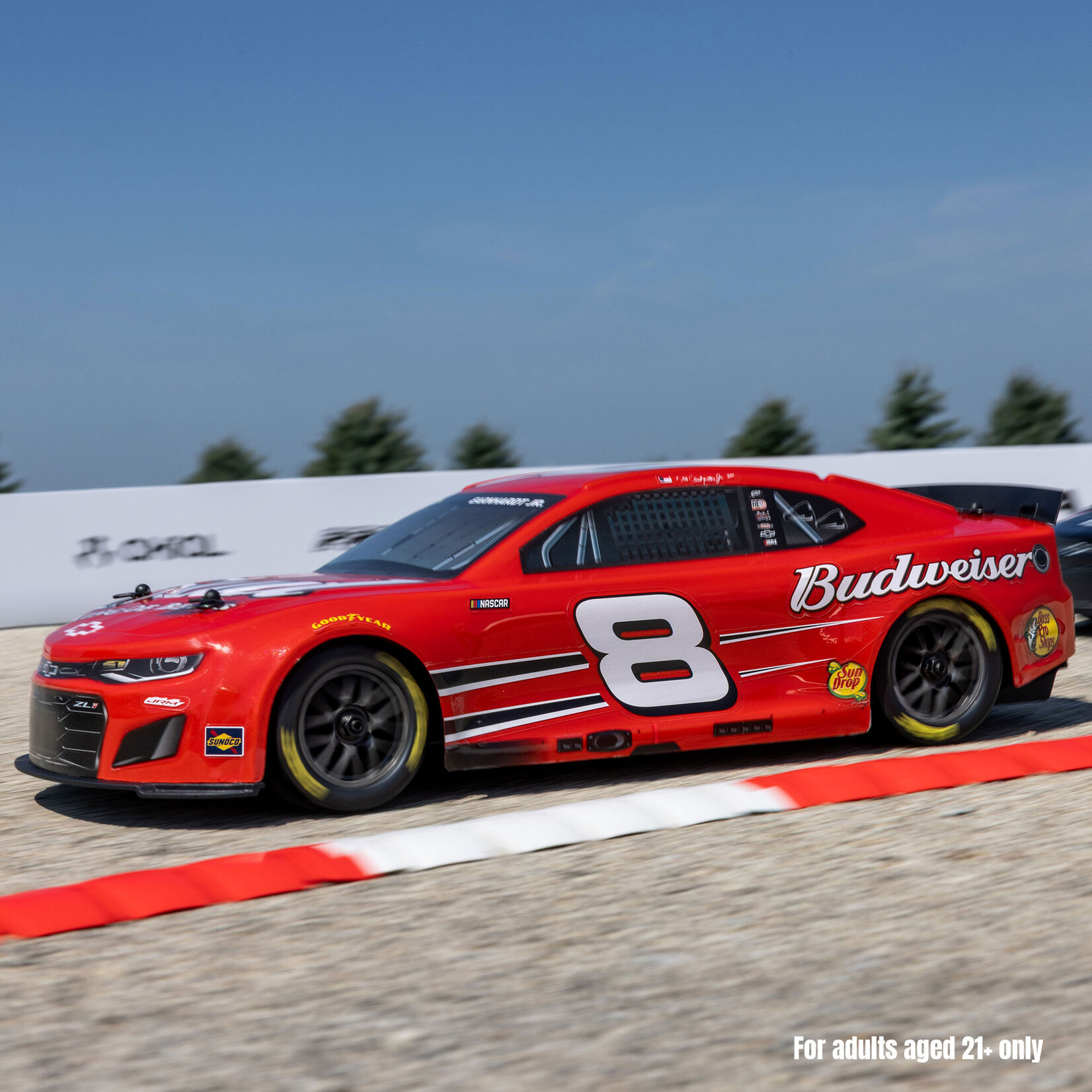 Losi 1/12 NASCAR RC Racecar Dale Earnhardt Jr. No. 8 Budweiser Chevrolet ZL1 2S AWD RTR Brushed On-Road (Battery & Charger Included), Red