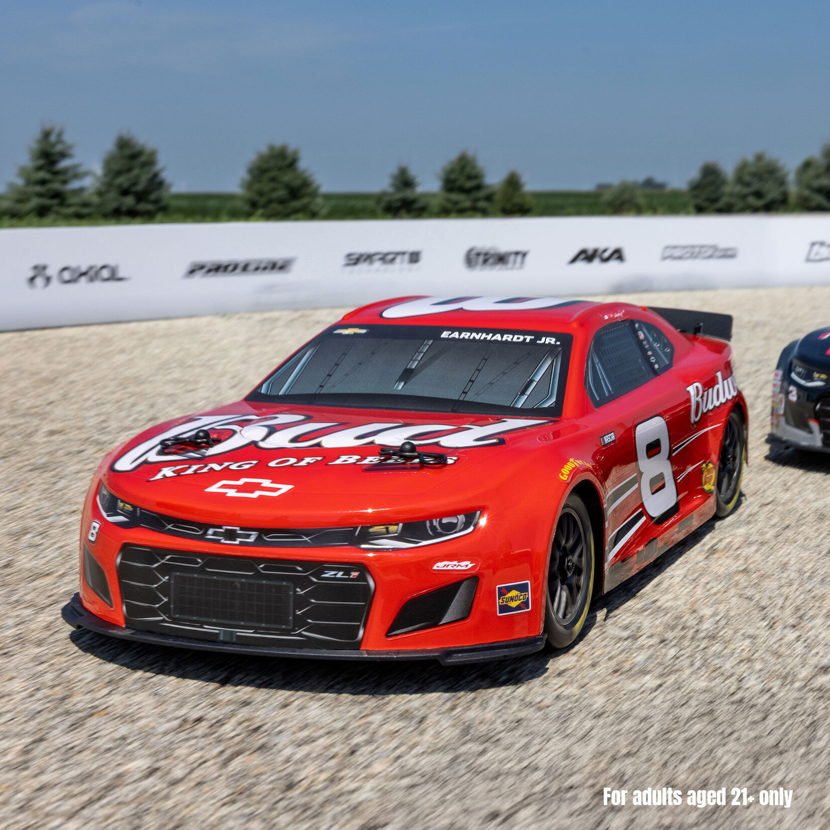 Losi 1/12 NASCAR RC Racecar Dale Earnhardt Jr. No. 8 Budweiser Chevrolet ZL1 2S AWD RTR Brushed On-Road (Battery & Charger Included), Red