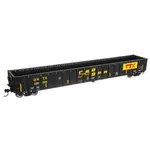 Walthers HO 68’ Railgon GNTX #290068