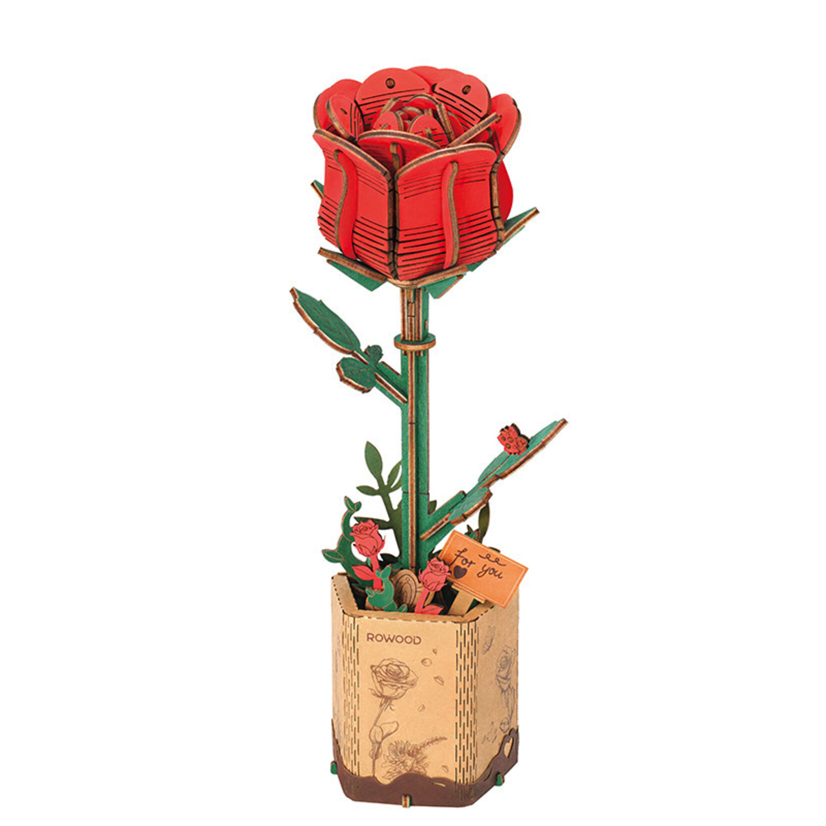 Robotime ROWOOD Red Rose