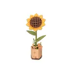 Robotime ROWOOD Sunflower