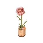 Robotime ROWOOD Pink Rose