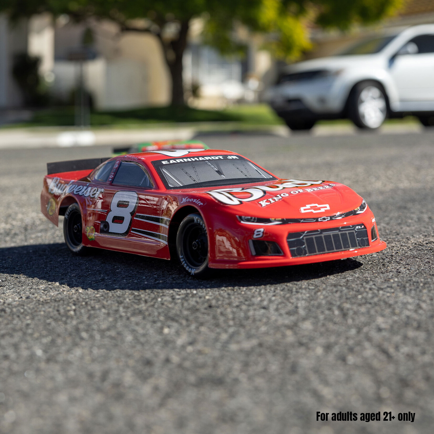 Losi 1/12 Asphalt Late Model RC Race Car Dale Earnhardt Jr. No. 8 2025 Budweiser Chevrolet ZL1 2S AWD On-Road (Battery & Charger Included), Red