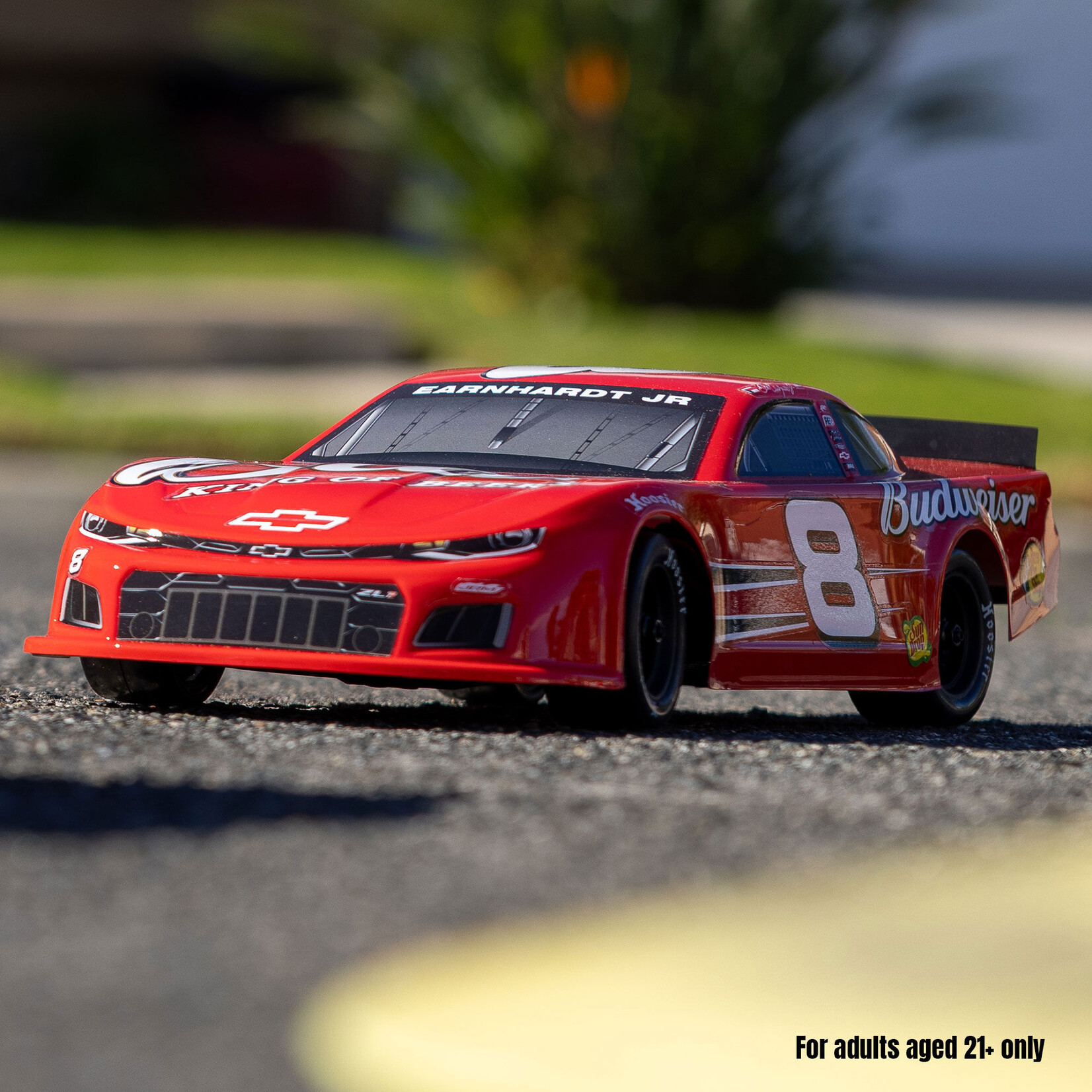 Losi 1/12 Asphalt Late Model RC Race Car Dale Earnhardt Jr. No. 8 2025 Budweiser Chevrolet ZL1 2S AWD On-Road (Battery & Charger Included), Red