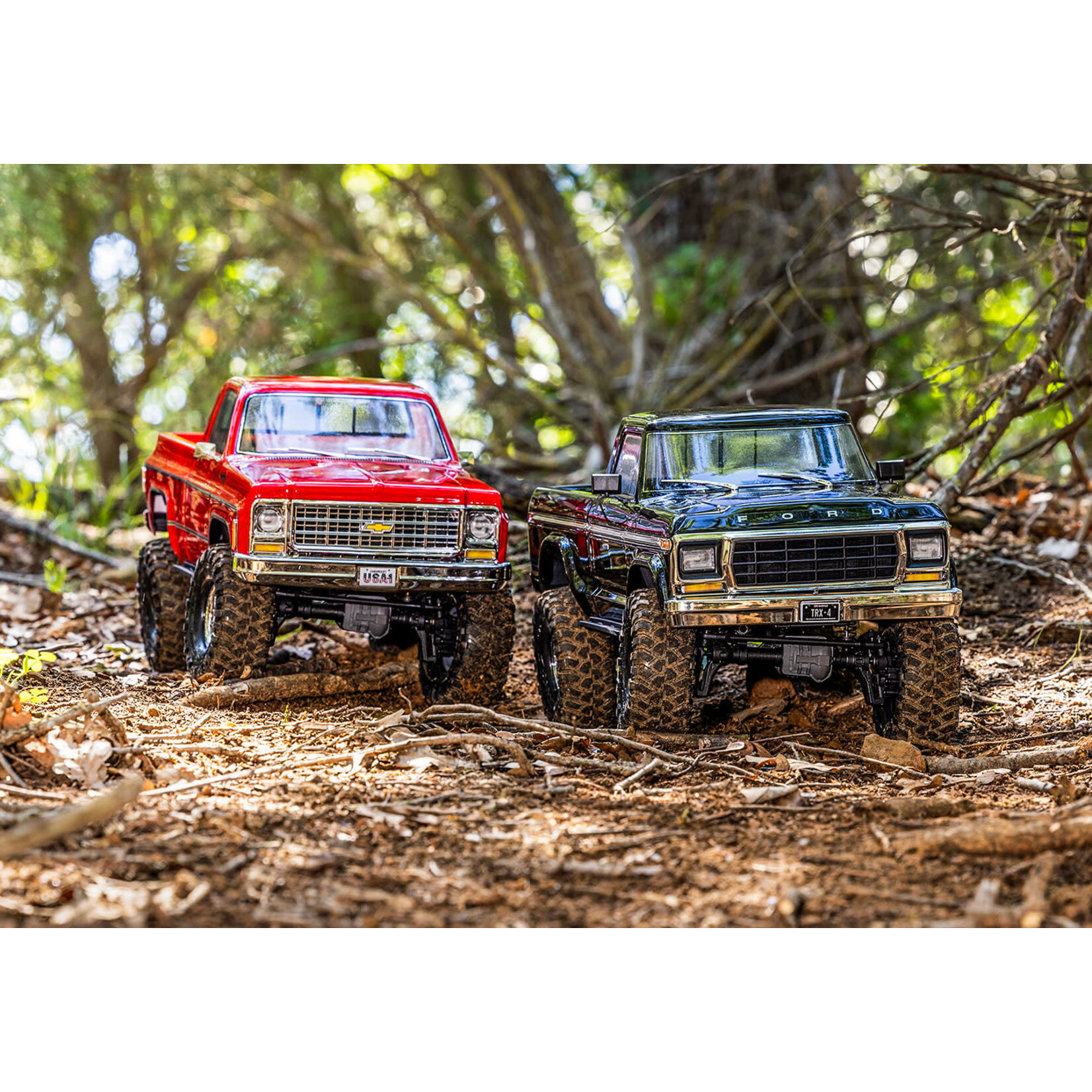 Traxxas TRX-4 Ford F-150 - BLUE
