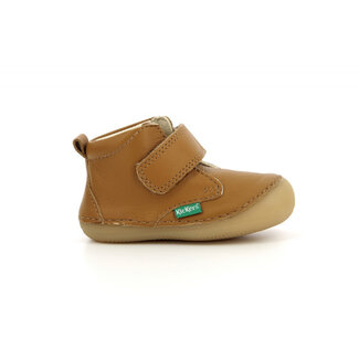 Kickers SABIO CAMEL CLAIR 22E584348-10_116