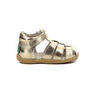 Kickers BIGFLO-C BEIGE CHAMPAGNE KY80BE 24E962451-10_113