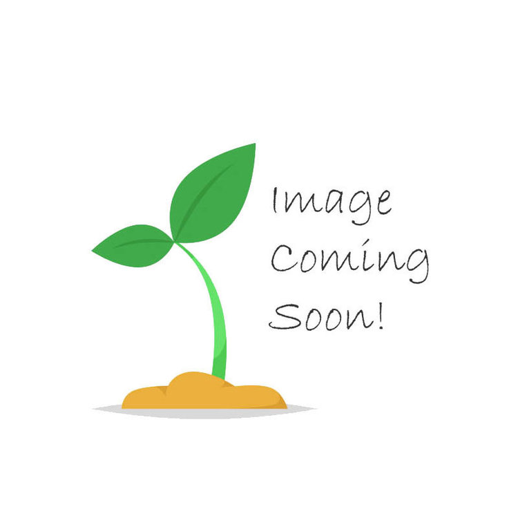 GreenAll GreenAll Multi Purpose Plant & Lawn Food 16-16-16