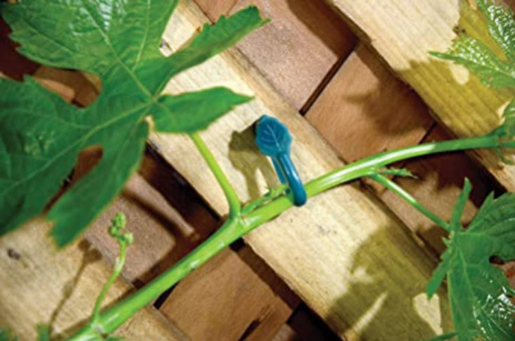 Bond Bond® Vine Holders 10 pk