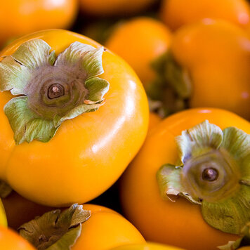 Persimmon 'Fuyu'