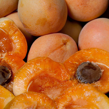 Apricot 'Blenheim'