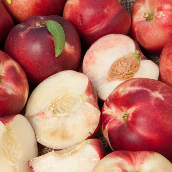 Nectarine 'Arctic Babe'