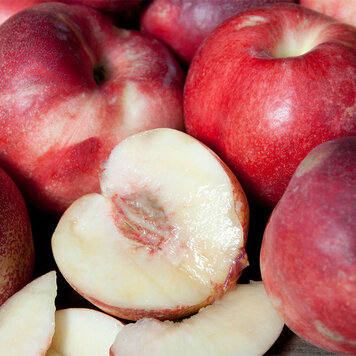 Nectarine 'Arctic Star'