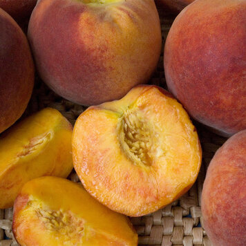 Peach 'Bonanza'